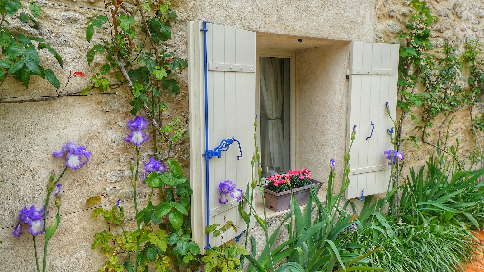 Courtyard with Flowers